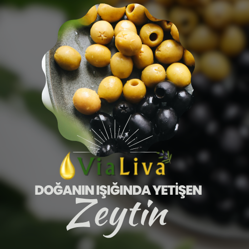 ViaLiva Gıda
